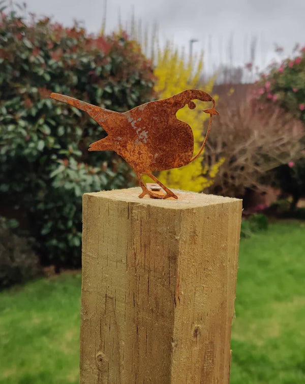 Meta Garden Robin Collection