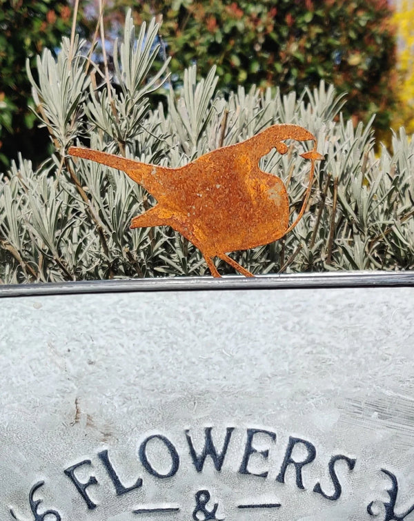 Meta Garden Robin Collection