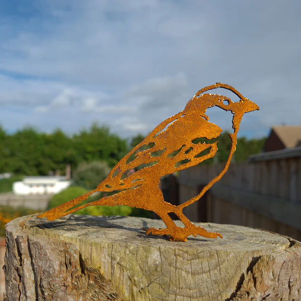 Metal Sparrow