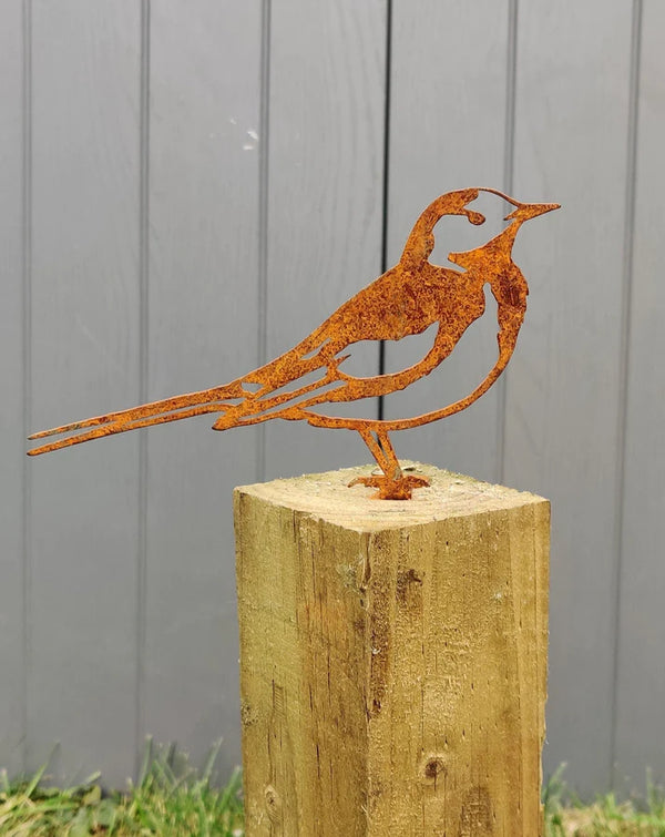 Metal Wagtail