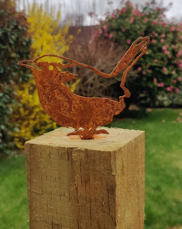 Metal Wren Sat on a Fence