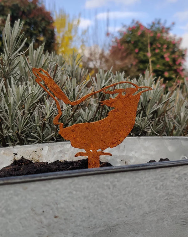 Metal Wren Sat on a Fence