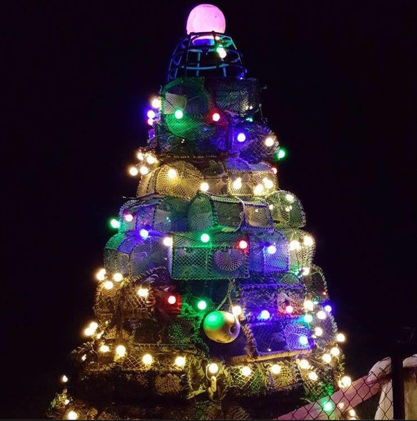 The Local Iona Creel Christmas tree 