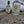 St Columba Christmas Edition Gin - 20cl Bottle