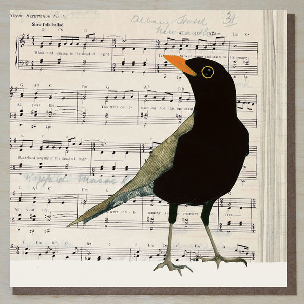 Windsock Press Cards