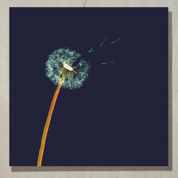 Windsock Press Cards