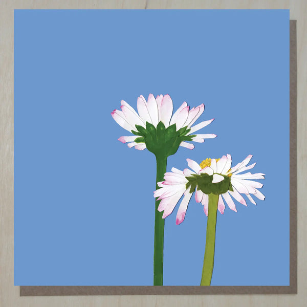 Windsock Press Cards