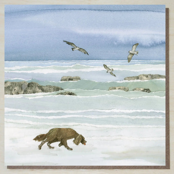 Windsock Press Cards