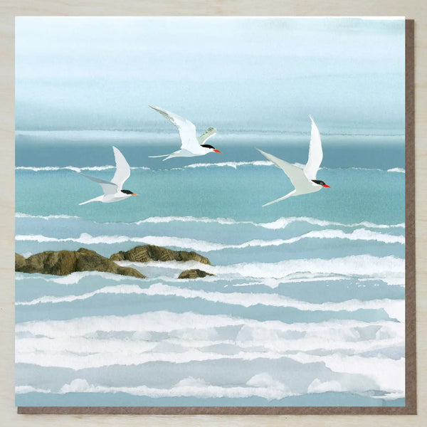 Windsock Press Cards