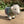 Felted Sheep with jacket