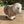 Felted Sheep with jacket