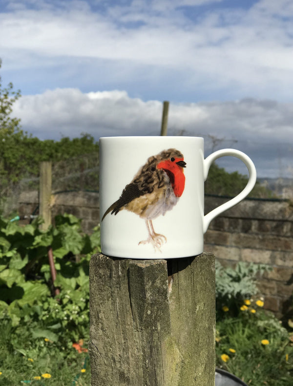 Pop mug - Robin